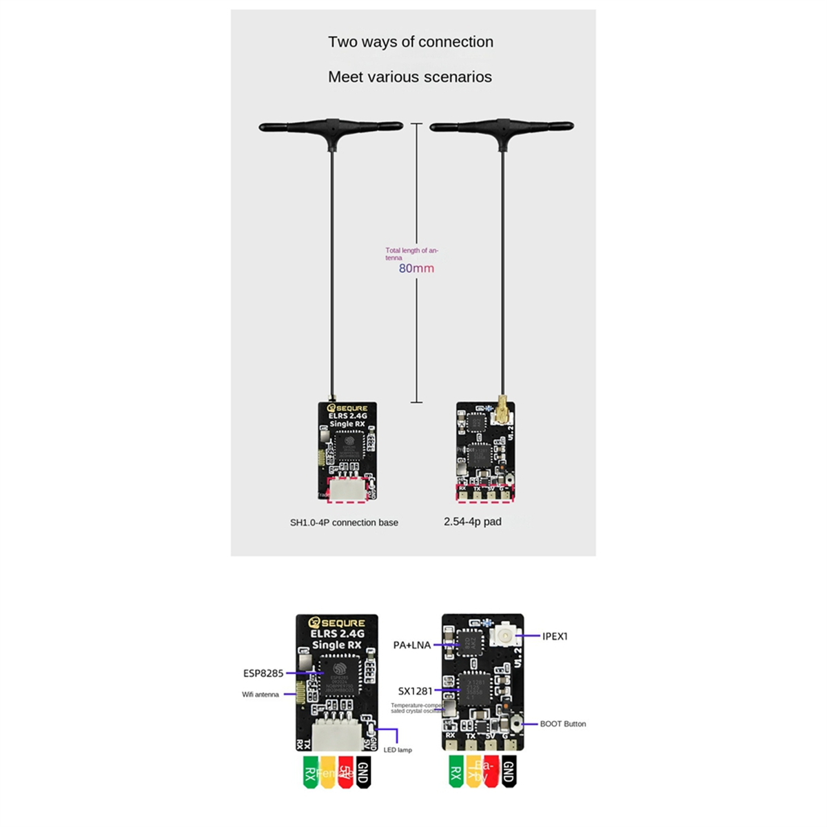 A56G-SEQURE ELRS 2.4GHz Single - Drone Racing Charger のレビューと価格